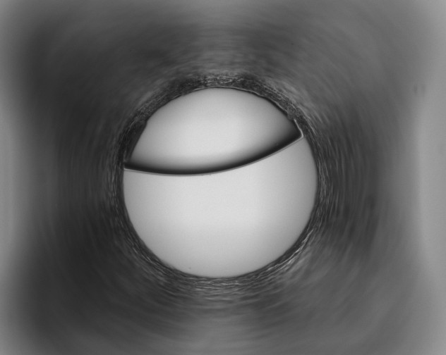 X0000096211252200802151455