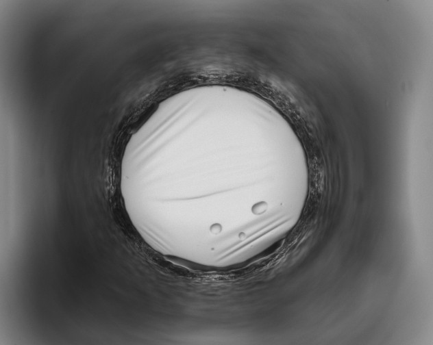 X0000096211253200802151455