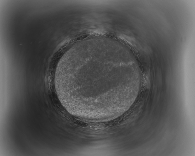 X0000096211254200802151455