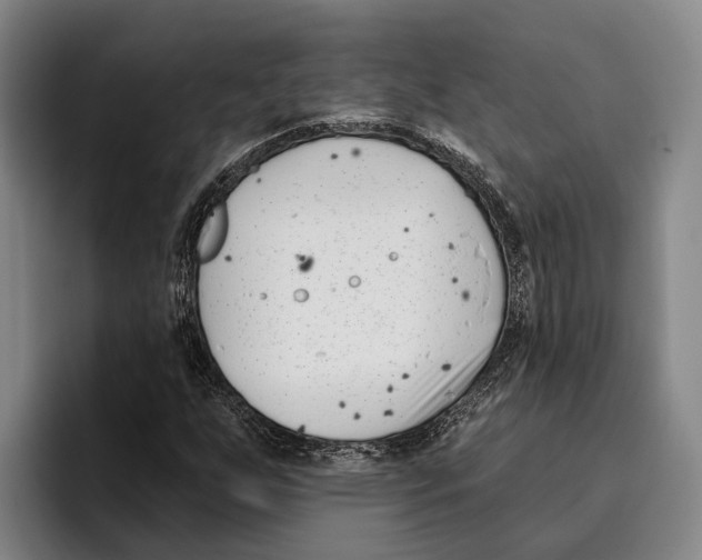 X0000096211255200802151455