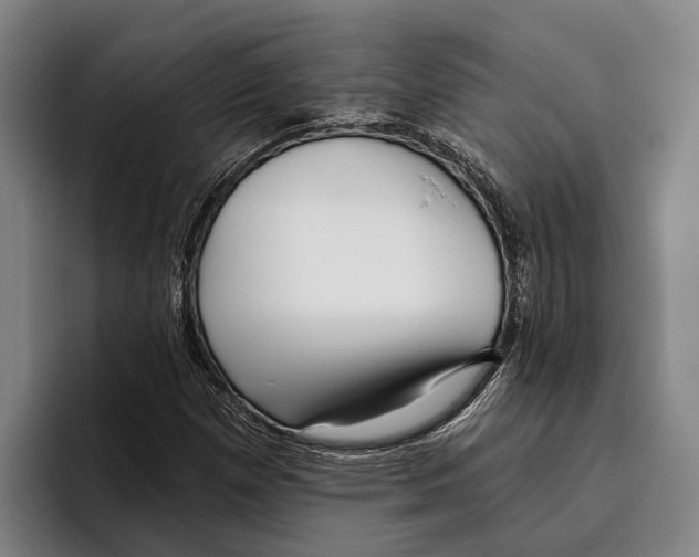 X0000096211257200802151455