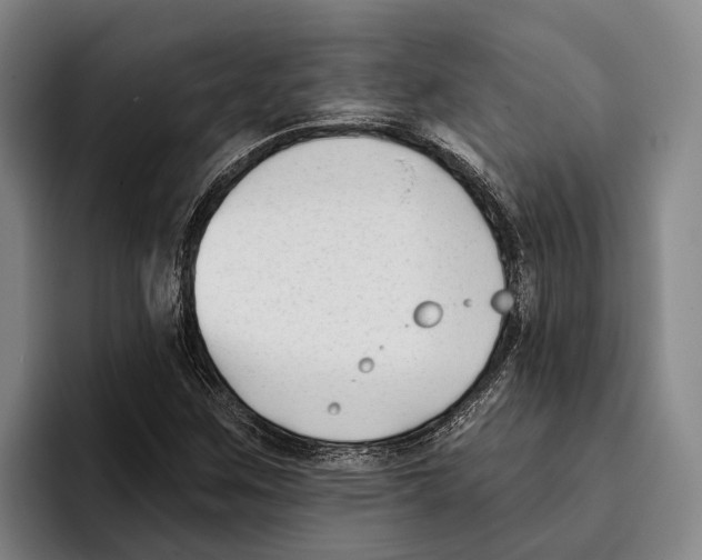 X0000096211259200802151455