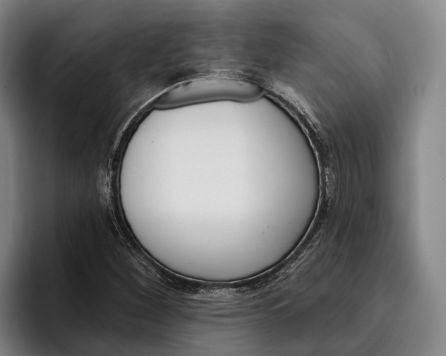 X0000096211260200802151455