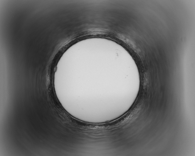 X0000096211261200802151455