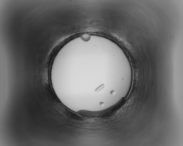 X0000096211262200802151455