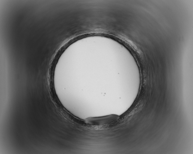 X0000096211264200802151455