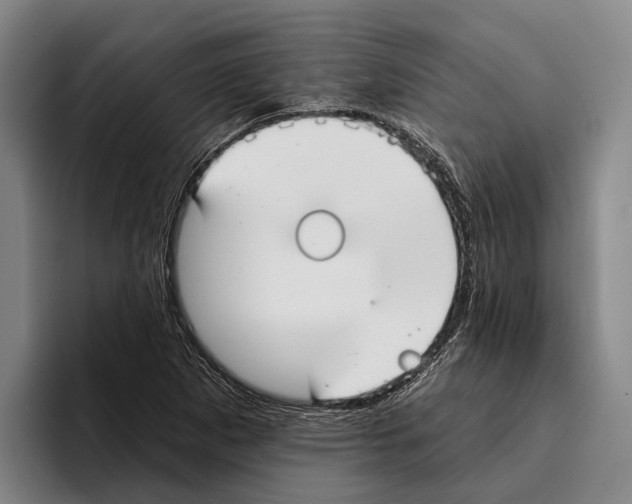 X0000096211265200802151455