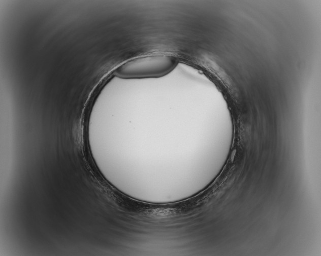 X0000096211268200802151455