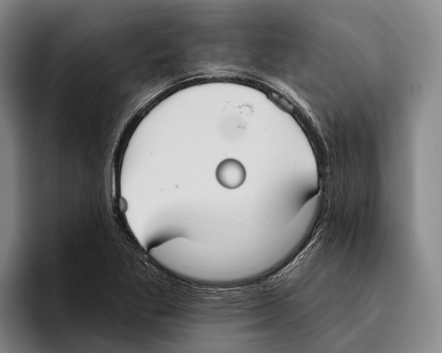 X0000096211269200802151454