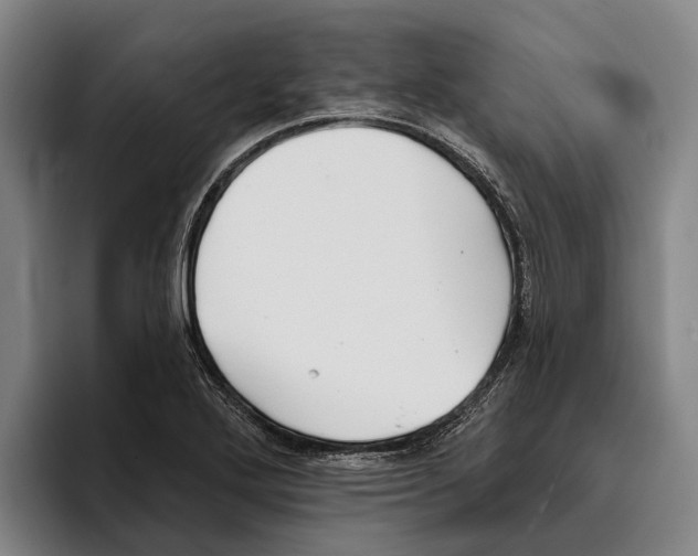 X0000096211272200802151454