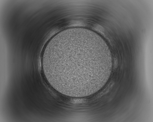 X0000096211274200802151454