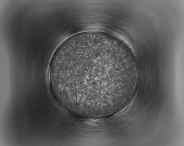 X0000096211275200802151454