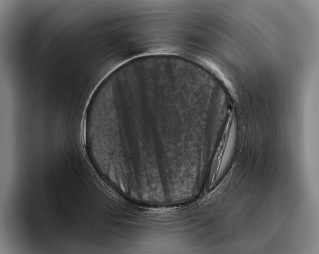 X0000096211276200802151454