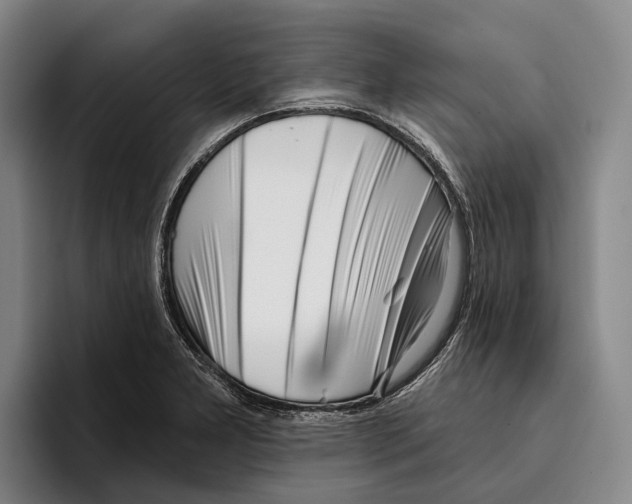 X0000096211277200802151454