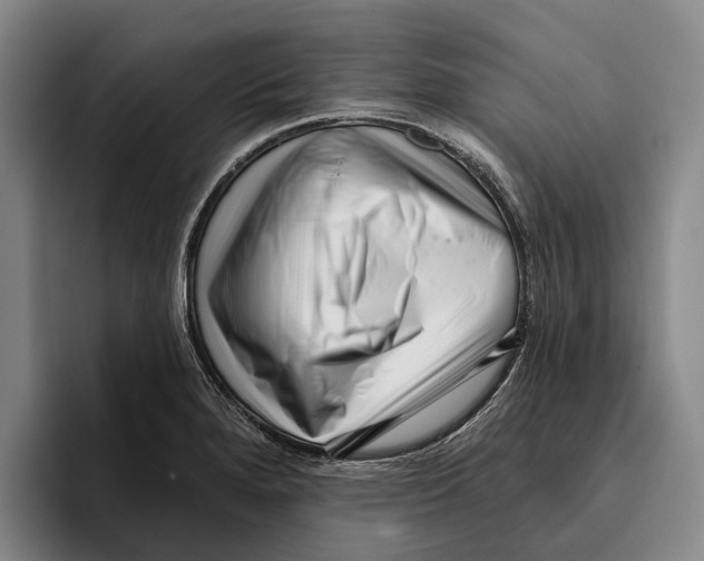 X0000096211280200802151454