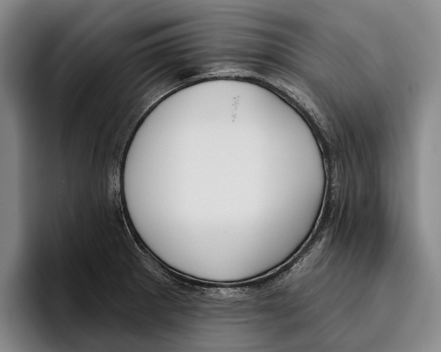 X0000096211281200802151454