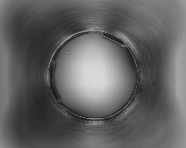 X0000096211284200802151454