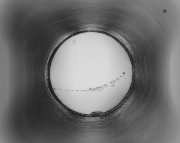 X0000096211285200802151454