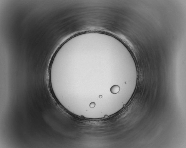 X0000096211287200802151454