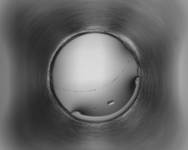 X0000096211288200802151454