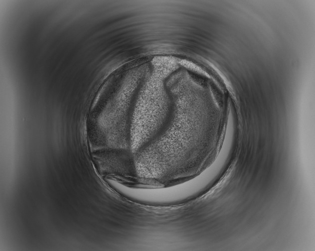 X0000096211289200802151454