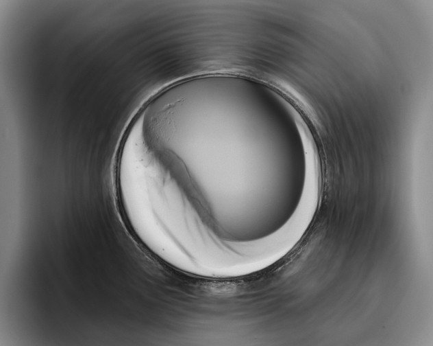 X0000096211291200802151454