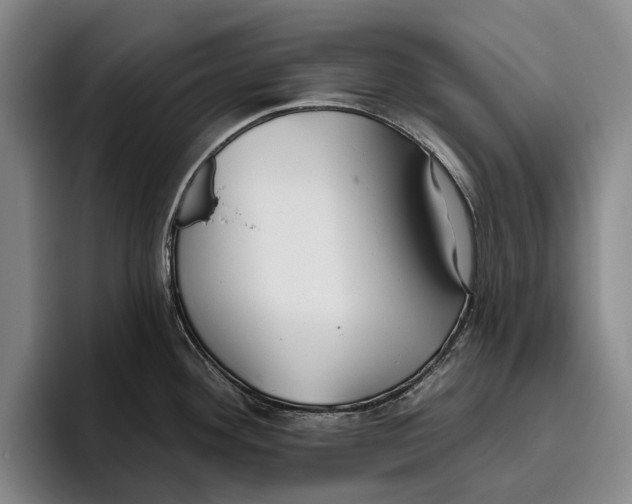 X0000096211292200802151454