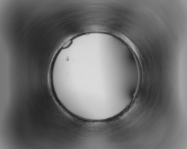 X0000096211293200802151454