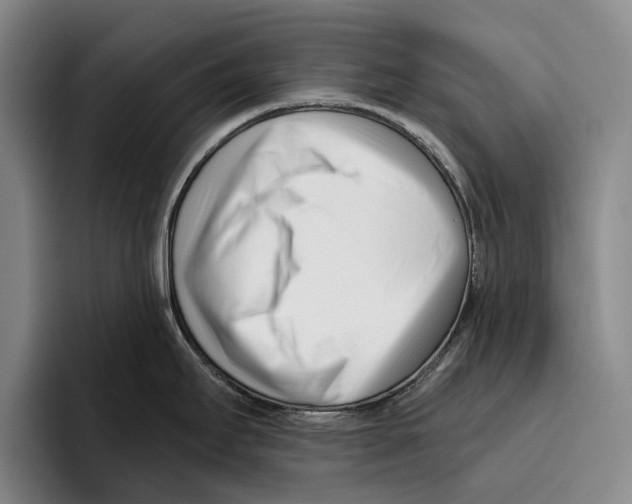 X0000096211295200802151454