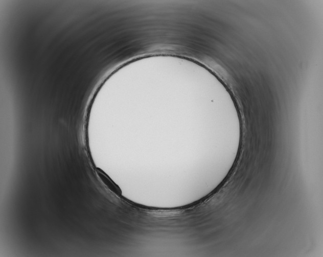 X0000096211296200802151454