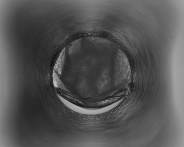 X0000096211298200802151454