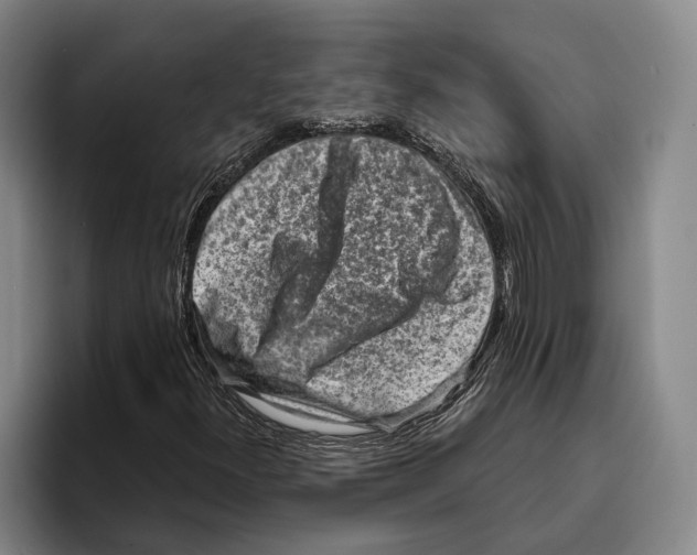 X0000096211300200802151454