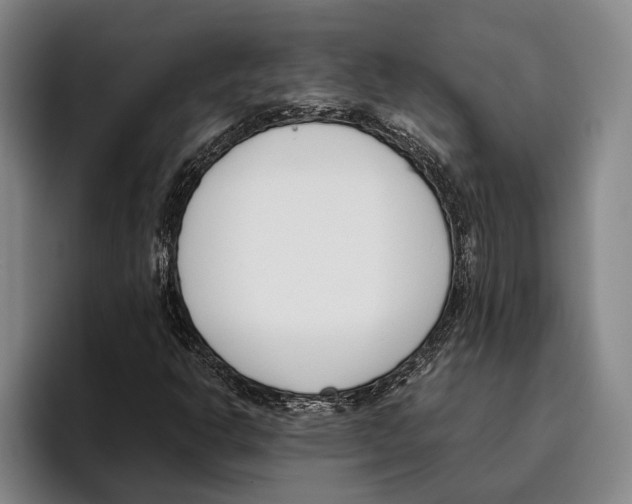 X0000096211302200802151454