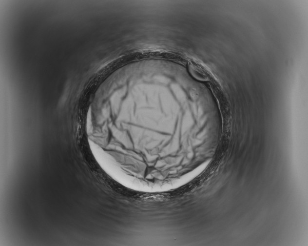 X0000096211303200802151454