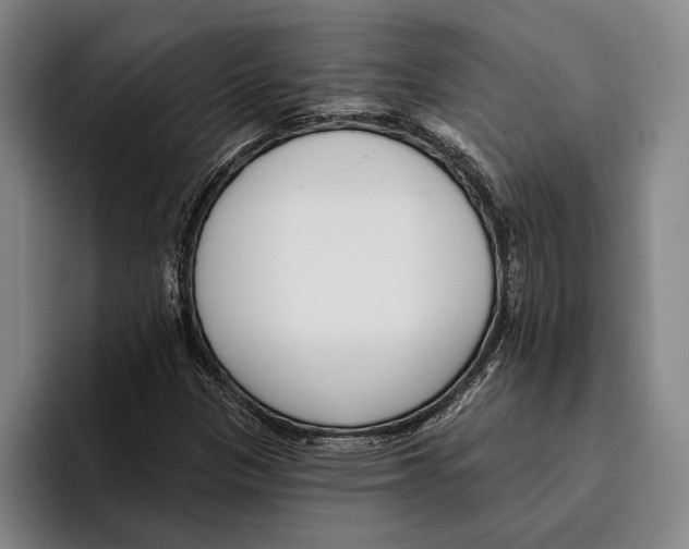 X0000096211305200802151454