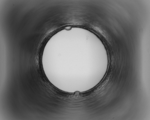 X0000096211307200802151454