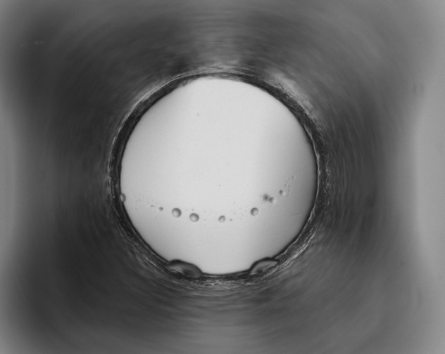 X0000096211308200802151454