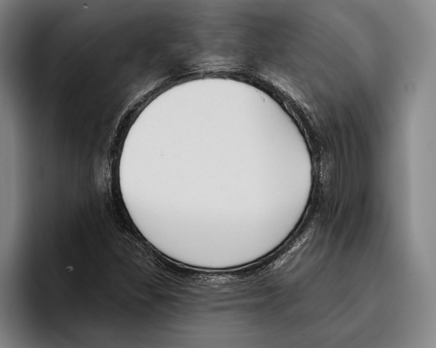 X0000096211309200802151454