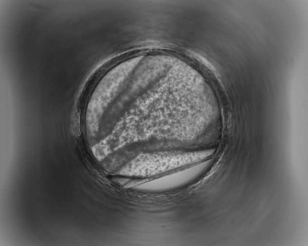 X0000096211310200802151454