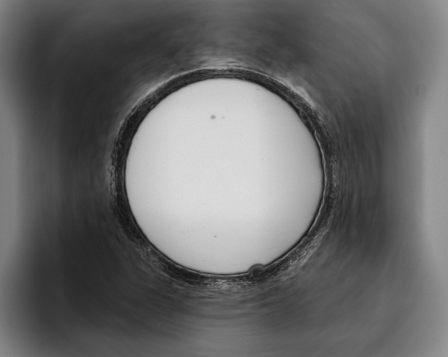 X0000096211311200802151454