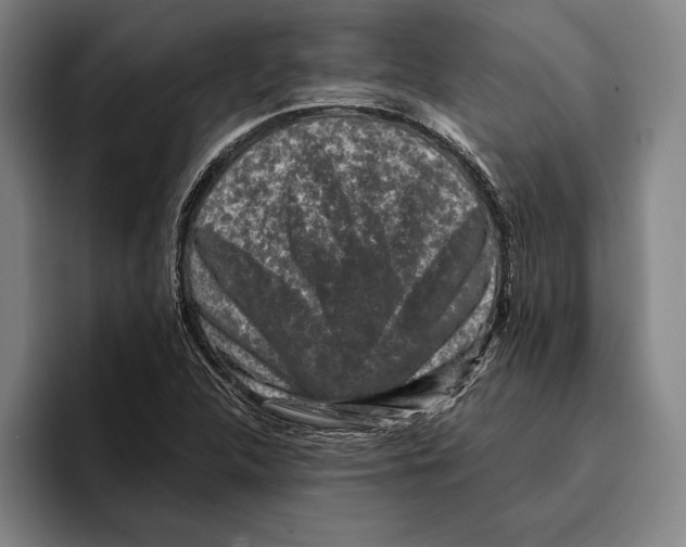 X0000096211312200802151454