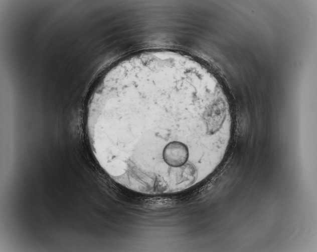 X0000096211314200802151454