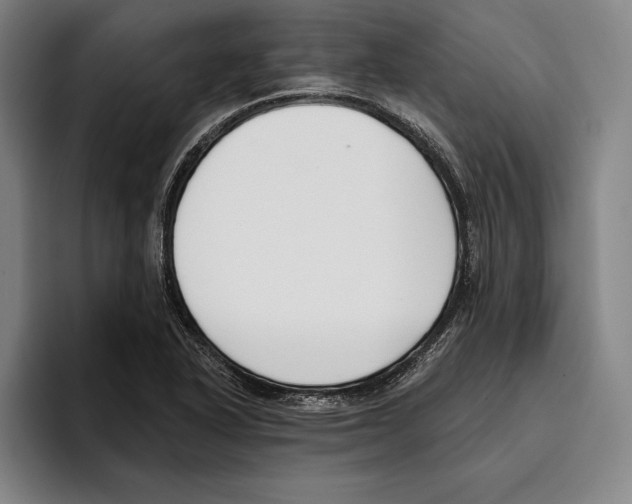 X0000096211318200802151454