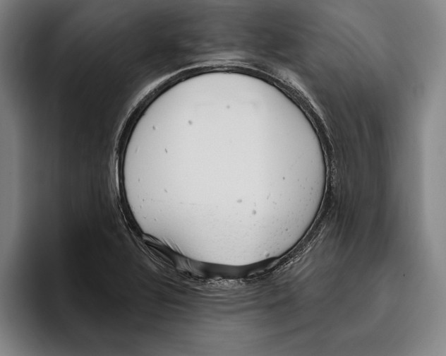 X0000096211320200802151454