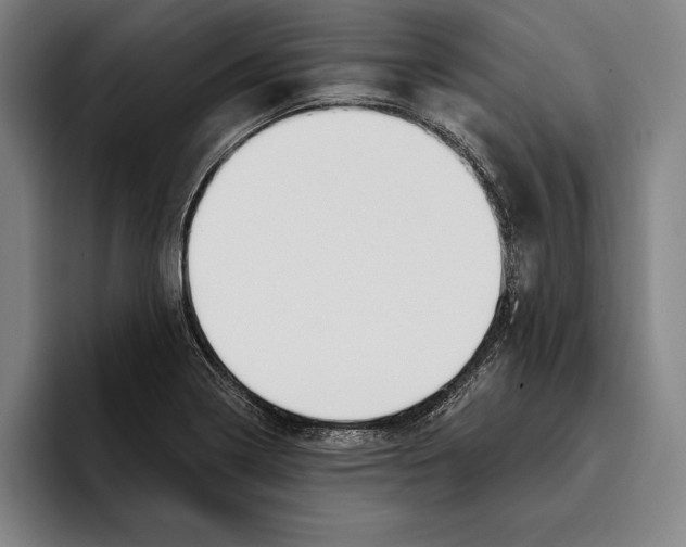 X0000096211322200802151454