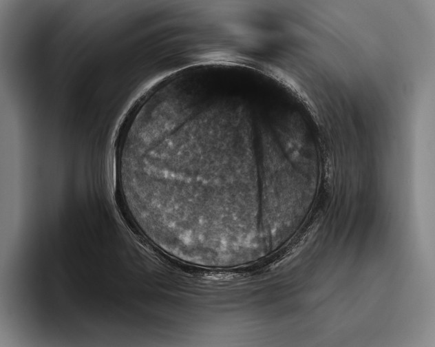 X0000096211323200802151454