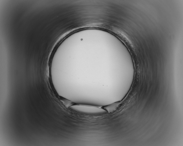 X0000096211324200802151454