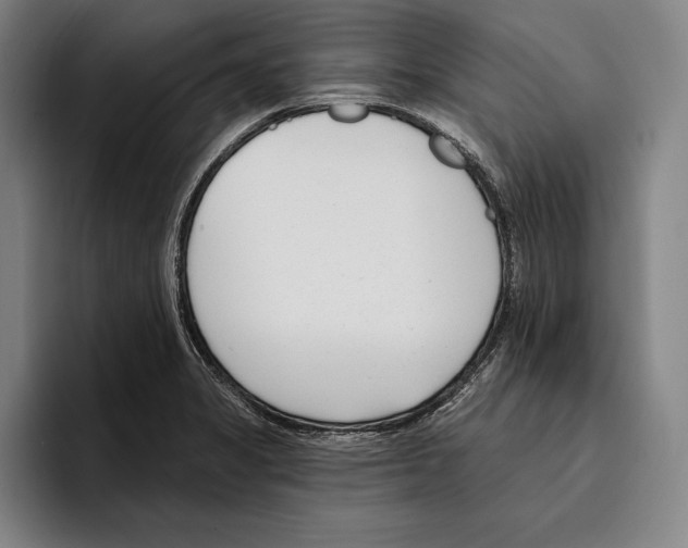 X0000096211325200802151454