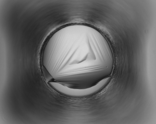 X0000096211326200802151454