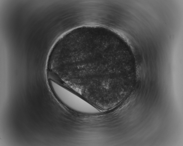 X0000096211327200802151454